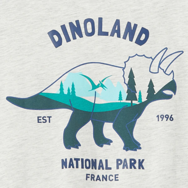 T-shirt manches longues motif dinosaure gris garçon