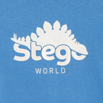 T-shirt manches longues motif dinosaure bleu Garçon