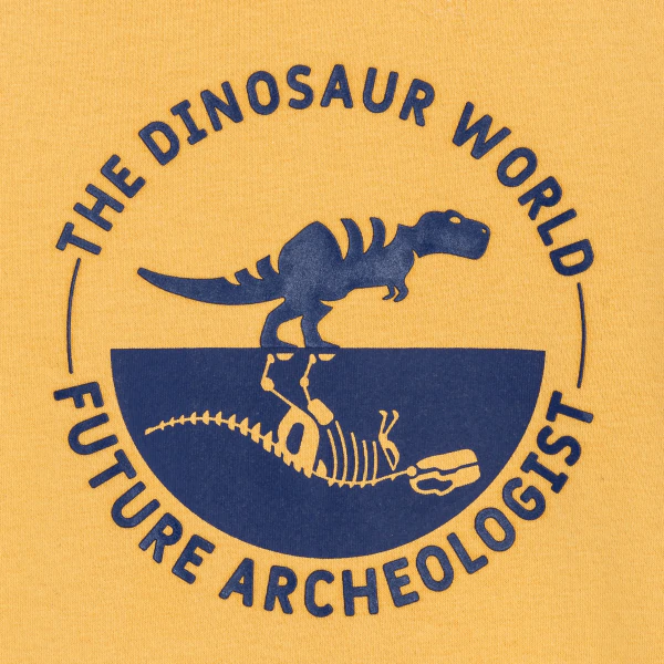 سويت شيرت مزين برسمة ديناصور، باللون الأصفر للأولاد.