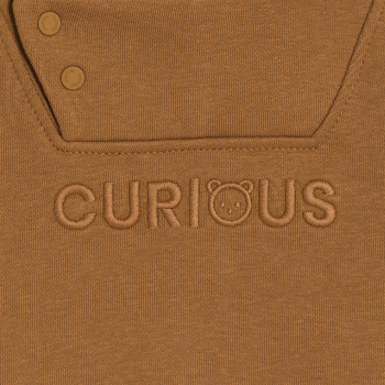 Sweat molleton à capuche marron bébé garçon