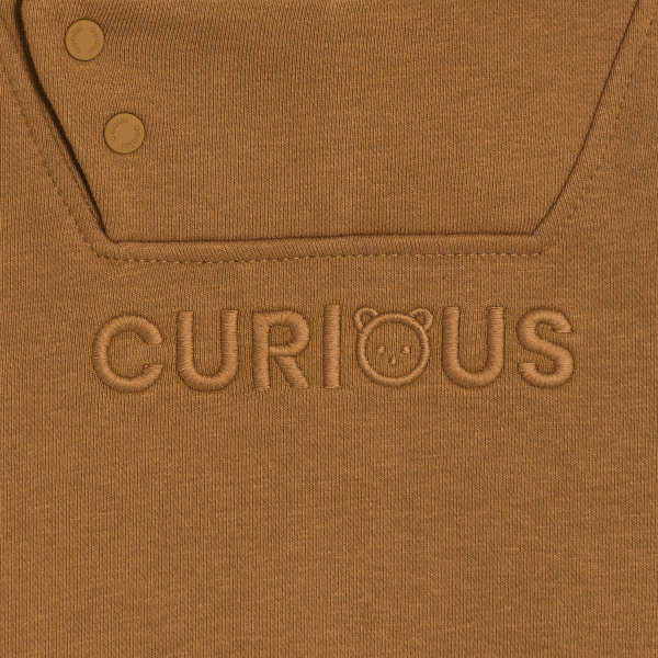 Sweat molleton à capuche marron bébé garçon