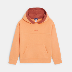 Sweat-shirt à capuche...