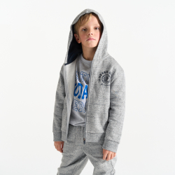 Sweat-shirt à capuche gris Garçon