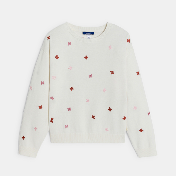 Pull fille papillons bicolores