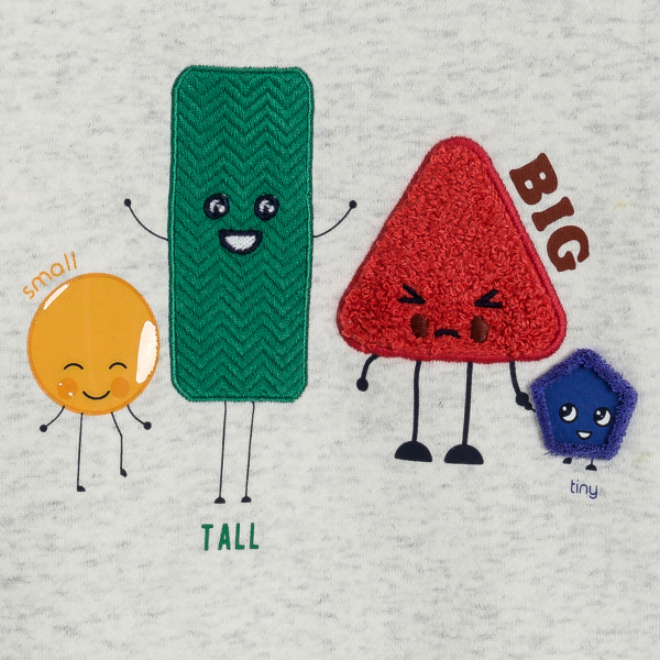 Sweat-shirt garçon gris