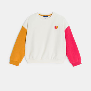 Sweat-shirt en molleton colorblock gris Fille