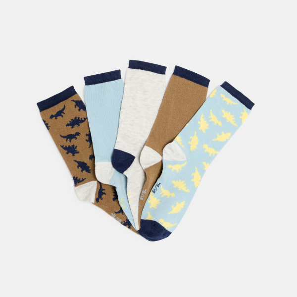 Chaussettes fantaisie Garçon (5 paires)